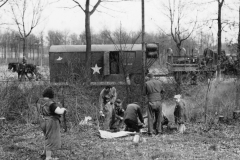 chow hounds at play. Belgium. march 1945.