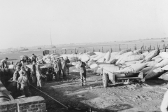 German tanks. strip 89. Belgium. Nov 1944