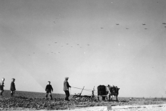 C47s overhead to rhide river. Belgium. march 1945