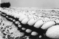 bombs ready to go to Germany. Dec 1944