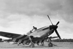 mustang that made forced landing during d day. June 1944