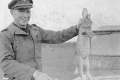 capt wesel and a wild rabbit he was playing with. Le mans. Sept 1944.