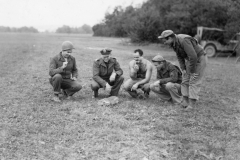 wild rabbit at epernoy. Sept 1944.