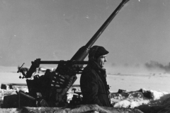 anti aircraft gun in France 1944