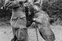 sandy and the goat. France. Aug 1944.