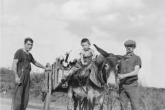 Frenchmen and donkey cart.