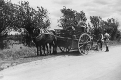 french officials search farmers cart for Germans.