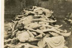 buchenwald camp. germany june 1945 NEW08