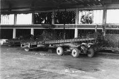 buzz bomb launching platform. Germany. June 1945