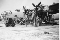 Venice Army Air Field Training Center. Venice, Florida, USA. 1943