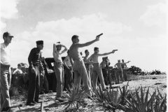 Venice Army Air Field Training Center. Venice, Florida, USA. 1943