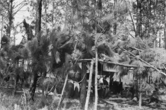 Venice Army Air Field Training Center. Venice, Florida, USA. 1943