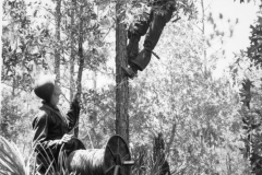 Venice Army Air Field Training Center. Venice, Florida, USA. 1943